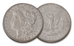 1888-O $1 MORGAN XF                          