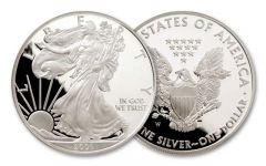 2006-W 1 Dollar 1-oz Silver Eagle Proof
