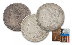 1902-1904-P Morgan Silver Dollar XF 3-Piece Set