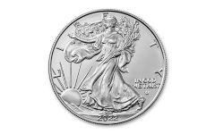 2022-W $1 1-oz Burnished Silver Eagle BU