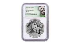 2024 China 30-gm Silver Panda NGC MS70 First Day of Issue w/Panda Cub Label