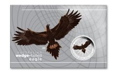 Australia 2024-P $1 1oz Silver Wedge Tailed Eagle Colorized BU in Blister Pack