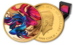 2024 Niue $100 1-oz Gold Siamese Fighting Fish Colorized Proof