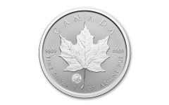 Canada 2024 $5 1oz Silver Maple BU w/ Polar Bear Privy