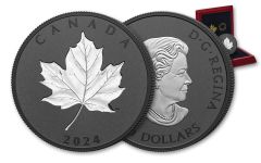 Canada 2024 5oz Silver Incuse Maple in Motion $50 in OGP