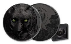 2022 Palau $25 .5 Kilo Silver Hunters by the Night Black Panther w/ OGP 