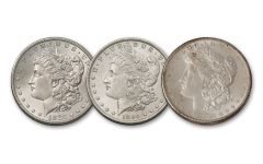 1880–1889-P/O/S Morgan Silver Dollar Decade 10-pc Set BU