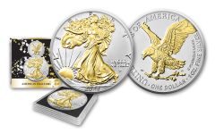2024 $1 1oz Silver Eagle BU Gilded 24Kt Gold Background w/Box