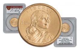 Details about   2010 S Sacagawea Proof Dollar from US Mint Set CP2145