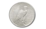 1925-1926 Peace Dollar Almighty BU Set