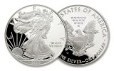 2005-W 1 Dollar 1-oz Silver Eagle Proof