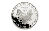2005-W 1 Dollar 1-oz Silver Eagle Proof