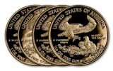 2018-W 5-50 Dollar Gold Eagle NGC PF70UCAM First Releases 4pc Set