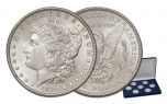 Morgan Silver Dollar BU Treasury Hoard Collection 7 Pc Set 