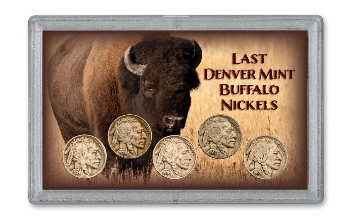 1934–1938-D Buffalo Nickels 5-pc Set F–VF