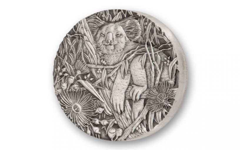 The obverse design of the 2017 silver koala coin