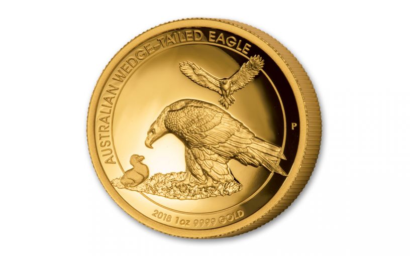 The 2018 reverse design of the Gold Wedge-Tailed Eagle coin