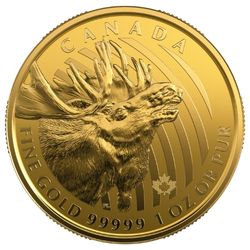The 2019 Moose coin in Wild Canada’s coin series