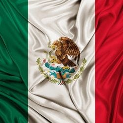 Mexican Flag 